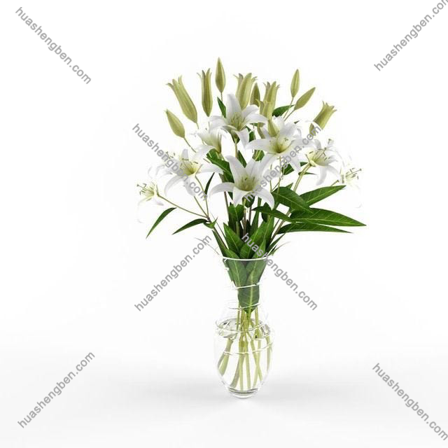 现代百合花花瓶组合3d模型「免费下载」White lilys bouquet.jpg(4)