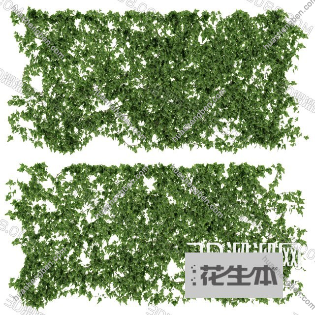 现代植物3d模型「免费下载」现代植物3D模型下载 ID 370845.jpg(1)