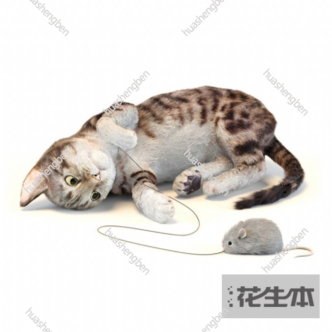 现代猫3d模型「免费下载」猫3D模型 （ID：547185）.jpg(1)