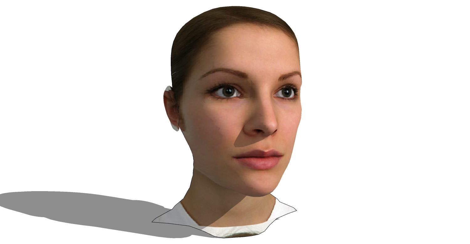 精细女性人物头部SketchUp草图3d人物模型下载