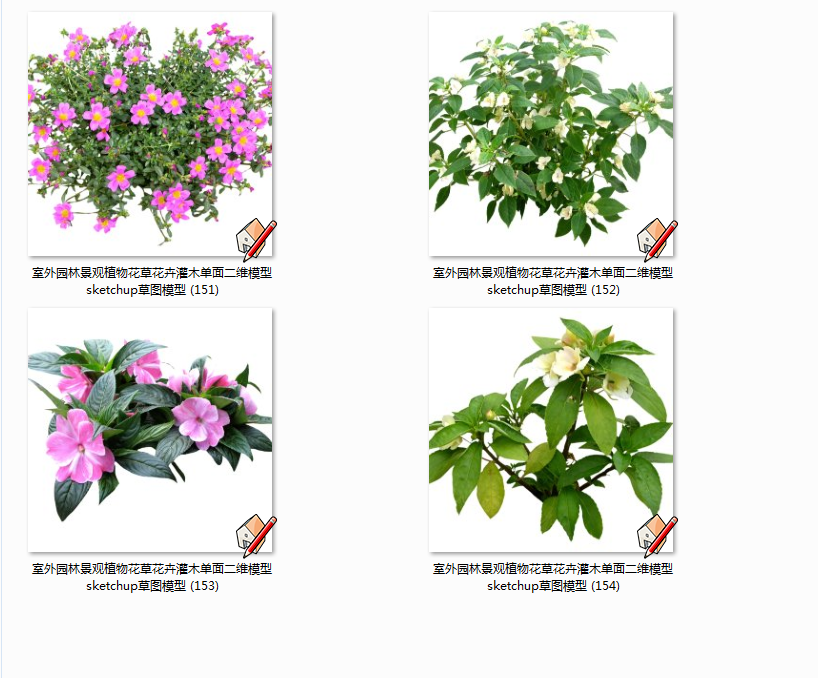 室外园林景观植物花草花卉灌木单面二维模型sketchup草图模型(1)