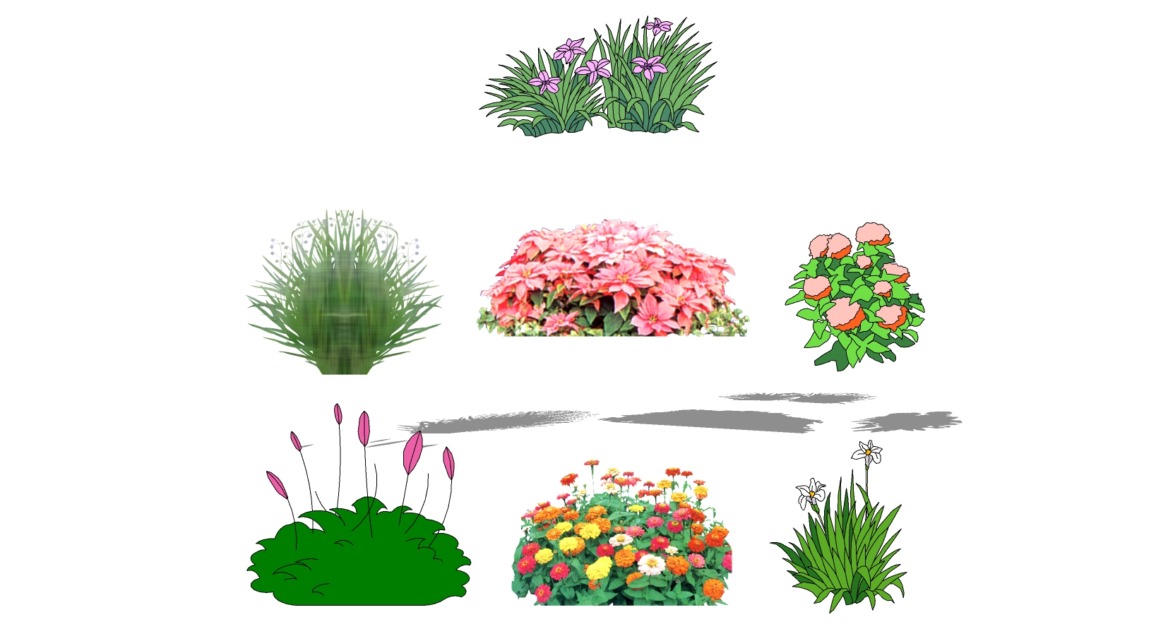 室外园林2d景观树sketchup草图模型下载花草(1)