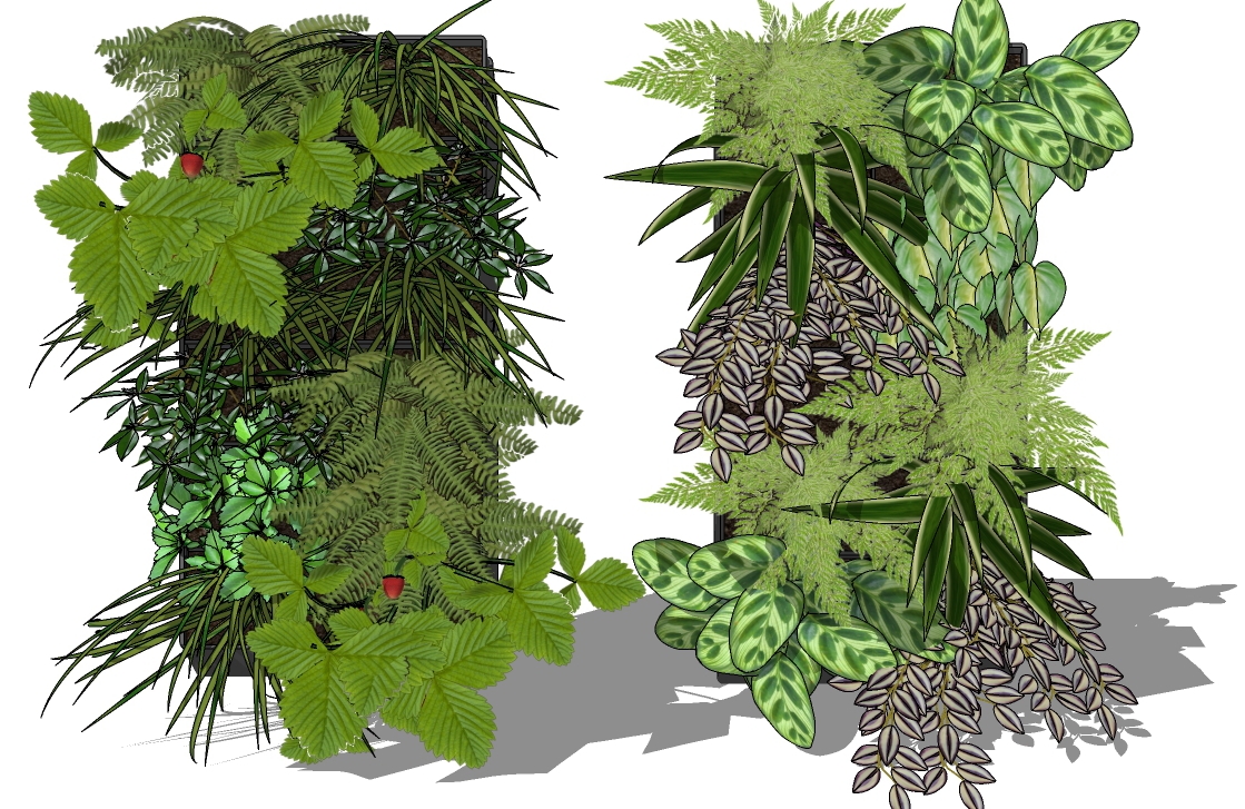 现代垂直绿化植物绿植墙植物墙6