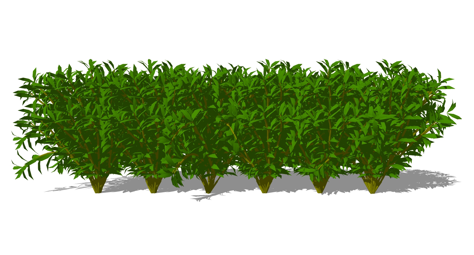 室外园林3d景观地被植物灌木sketchup草图模型下载  (14)