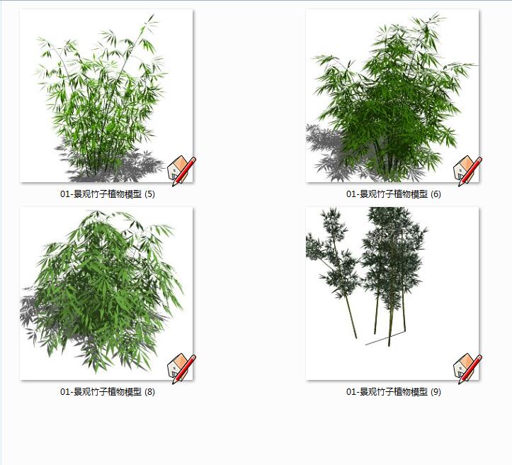 景观竹子植物模型(1)