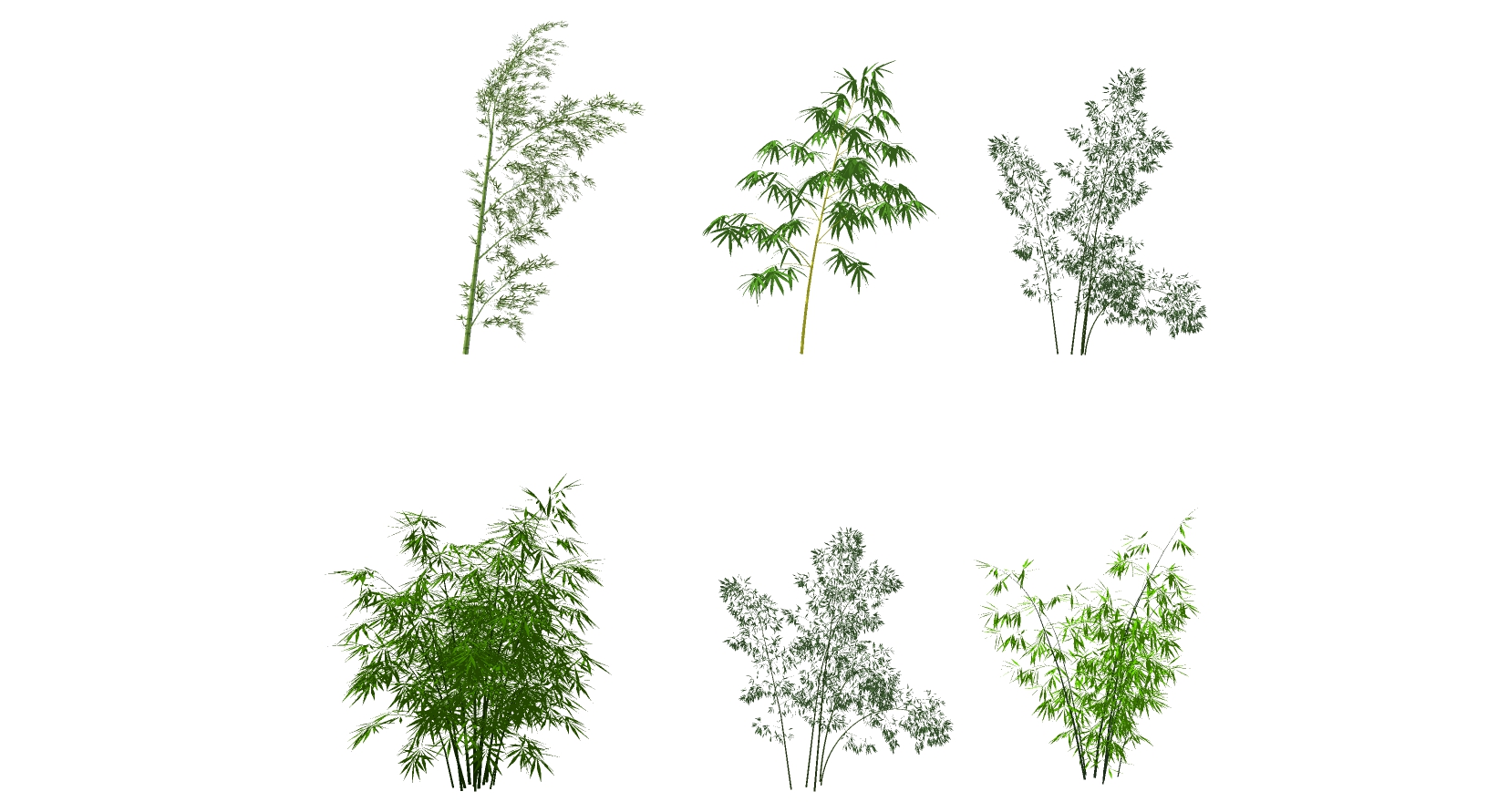 景观竹子植物模型sketchup草图模型下载 (1)