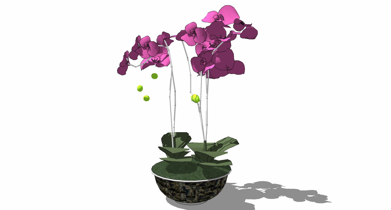 现代植物花瓶插花蝴蝶兰 sketchup草图模型下载  (2)