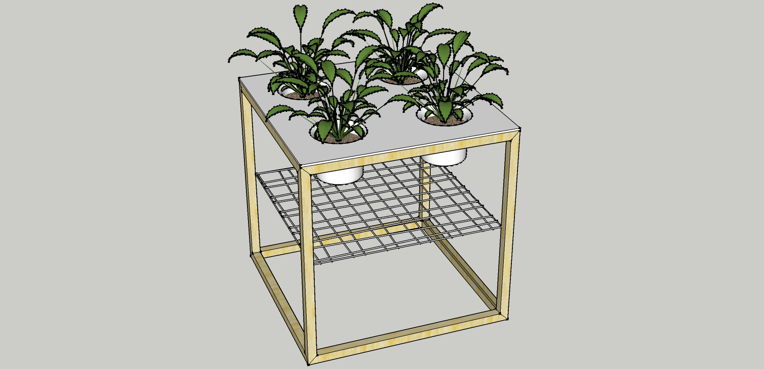 17-盆栽植物绿植花盆