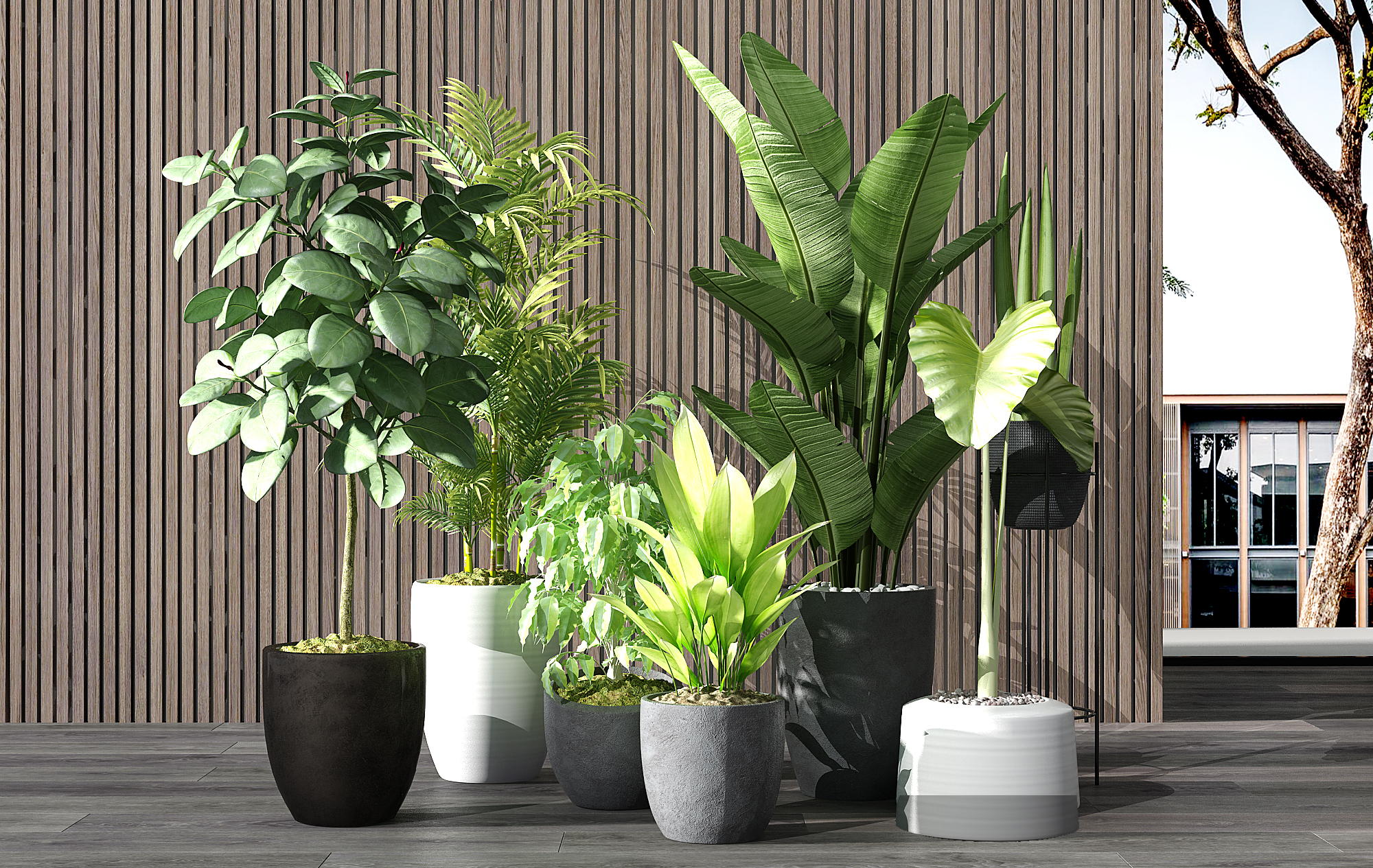 H63-0625现代植物盆栽花盆绿植(1)