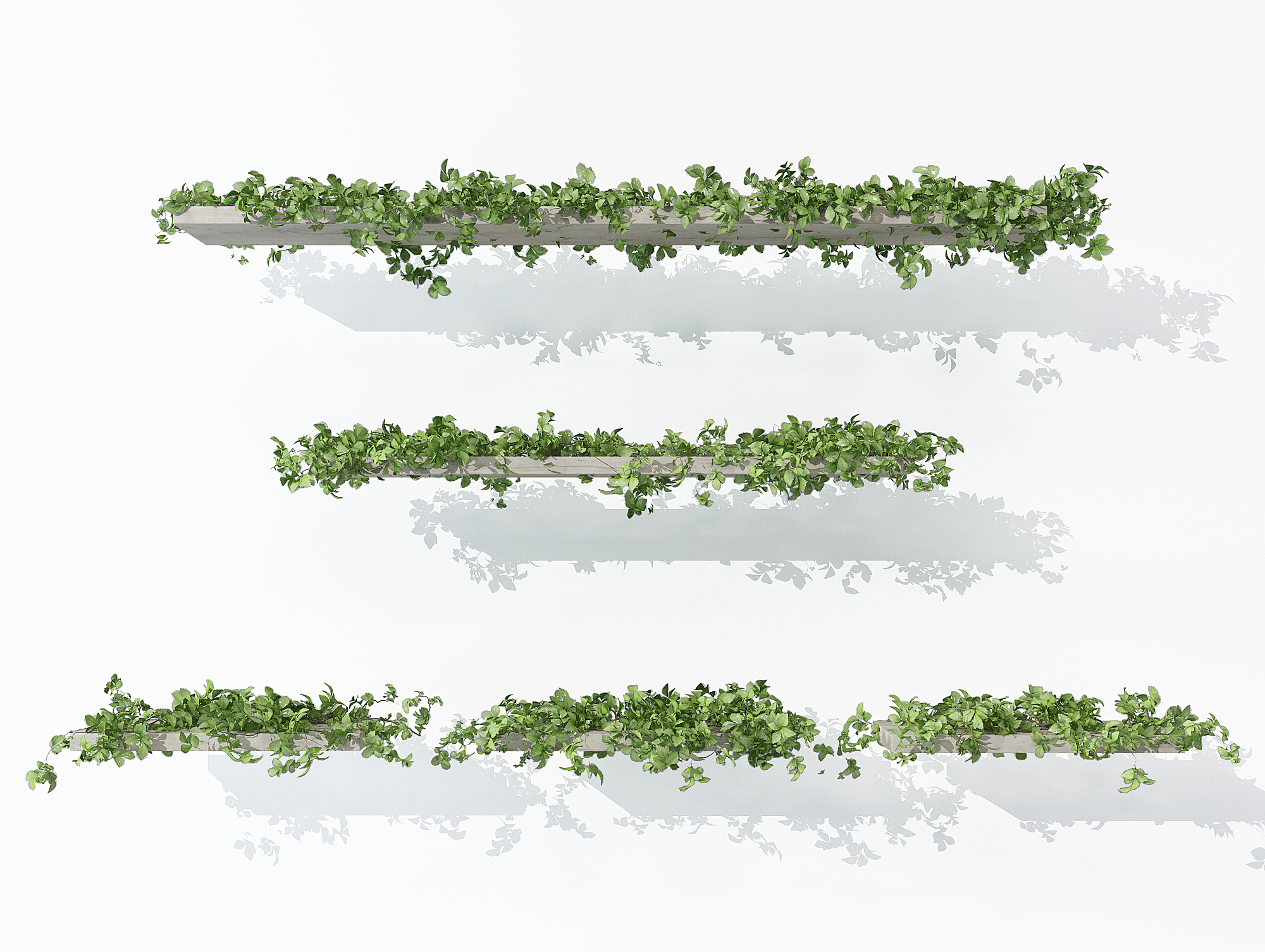 现代植物藤蔓3d模型下载(1)