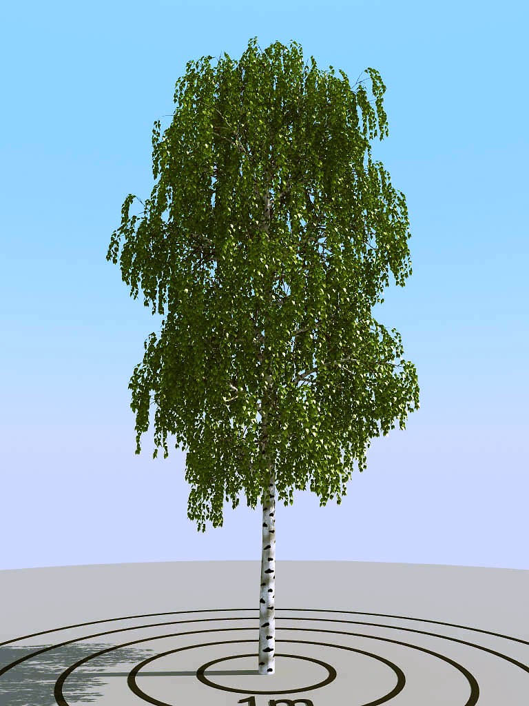 020夏季景观植物树木3d模型下载(1)