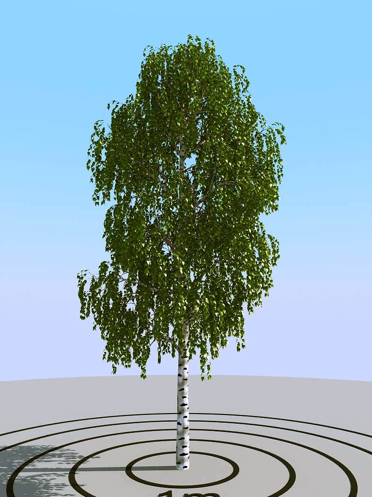 019夏季景观植物树木3d模型下载(1)