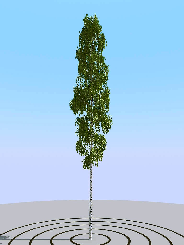 018夏季景观植物树木3d模型下载 (1)(1)