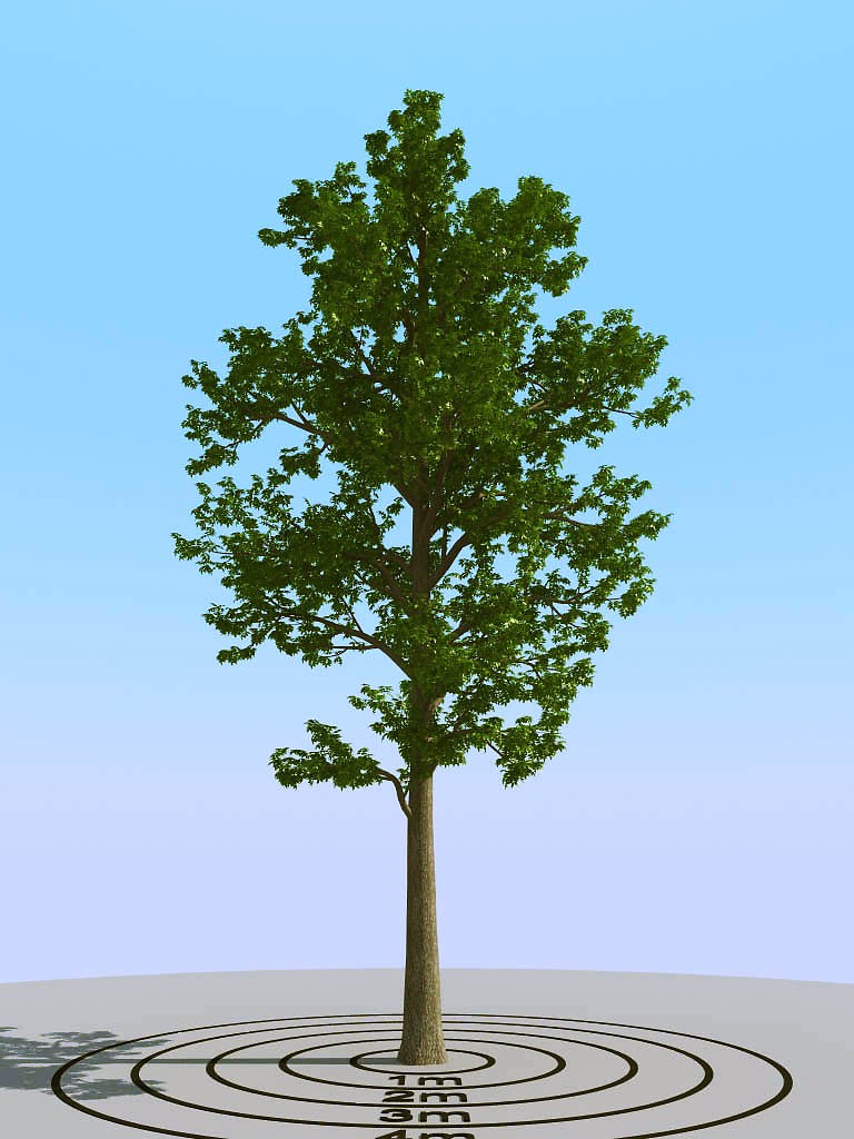 010夏季景观植物树木3d模型下载