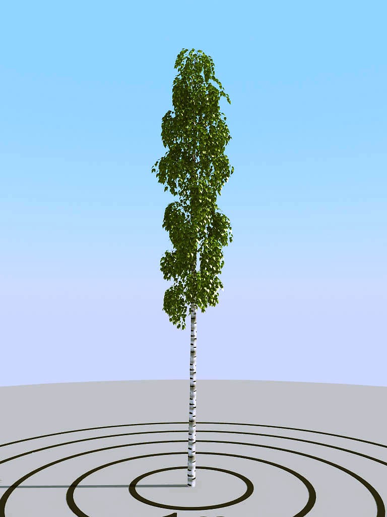 016夏季景观植物树木3d模型下载(1)