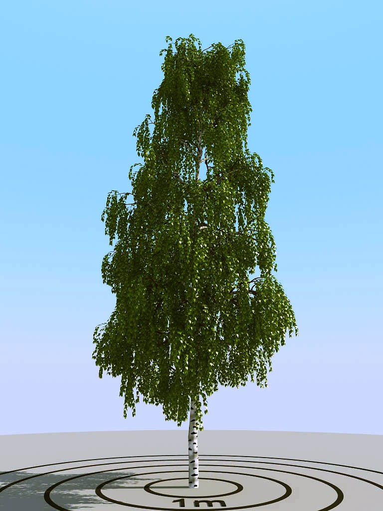 014夏季景观植物树木3d模型下载(1)
