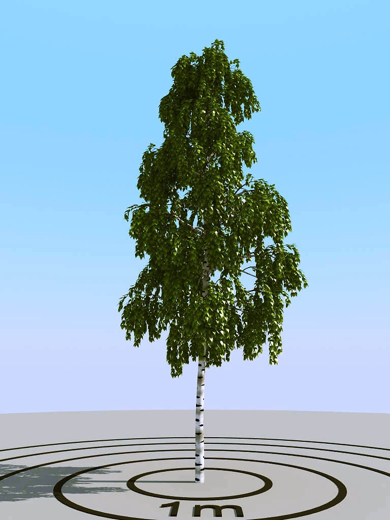 012夏季景观植物树木3d模型下载(1)