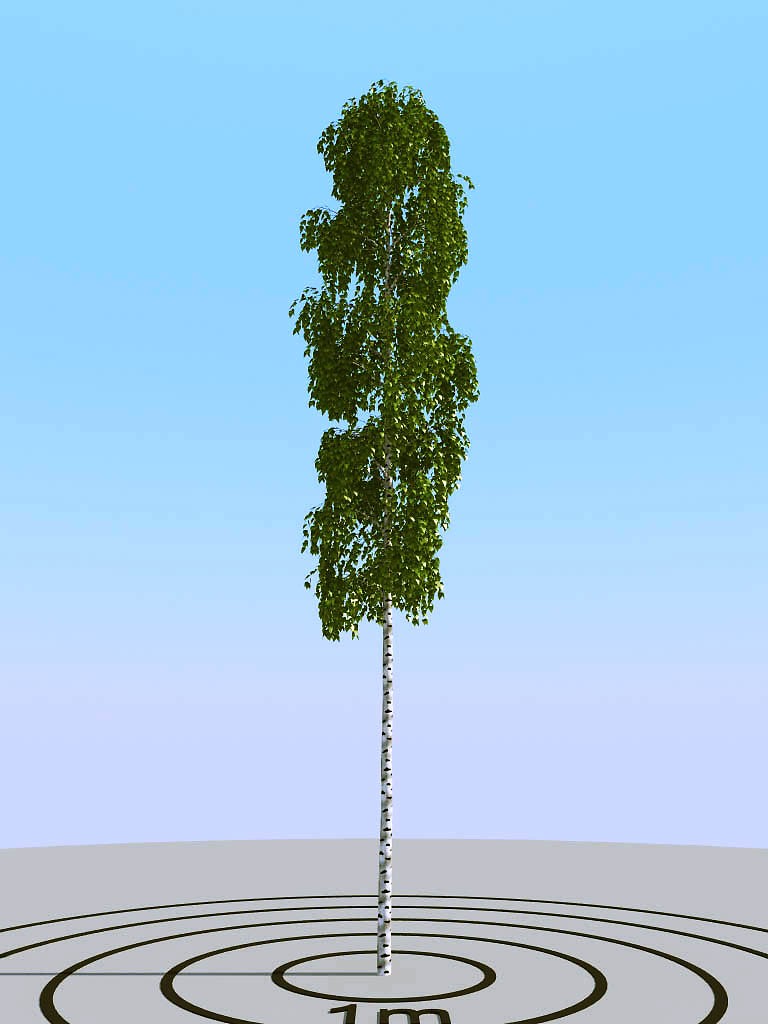 015夏季景观植物树木3d模型下载(1)