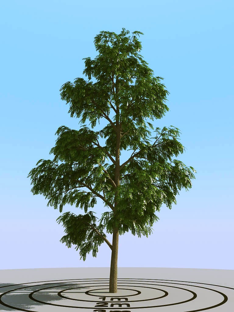 03夏季景观植物树木3d模型下载(1)