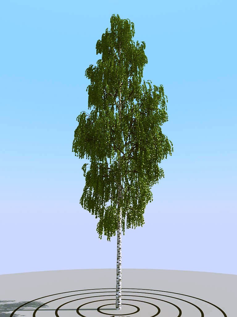0180夏季景观植物树木3d模型下载 (2)(1)