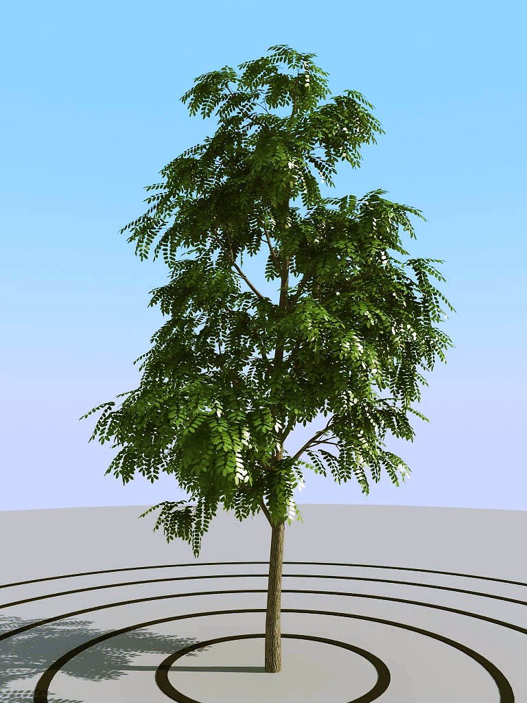 01夏季景观植物树木3d模型下载(1)