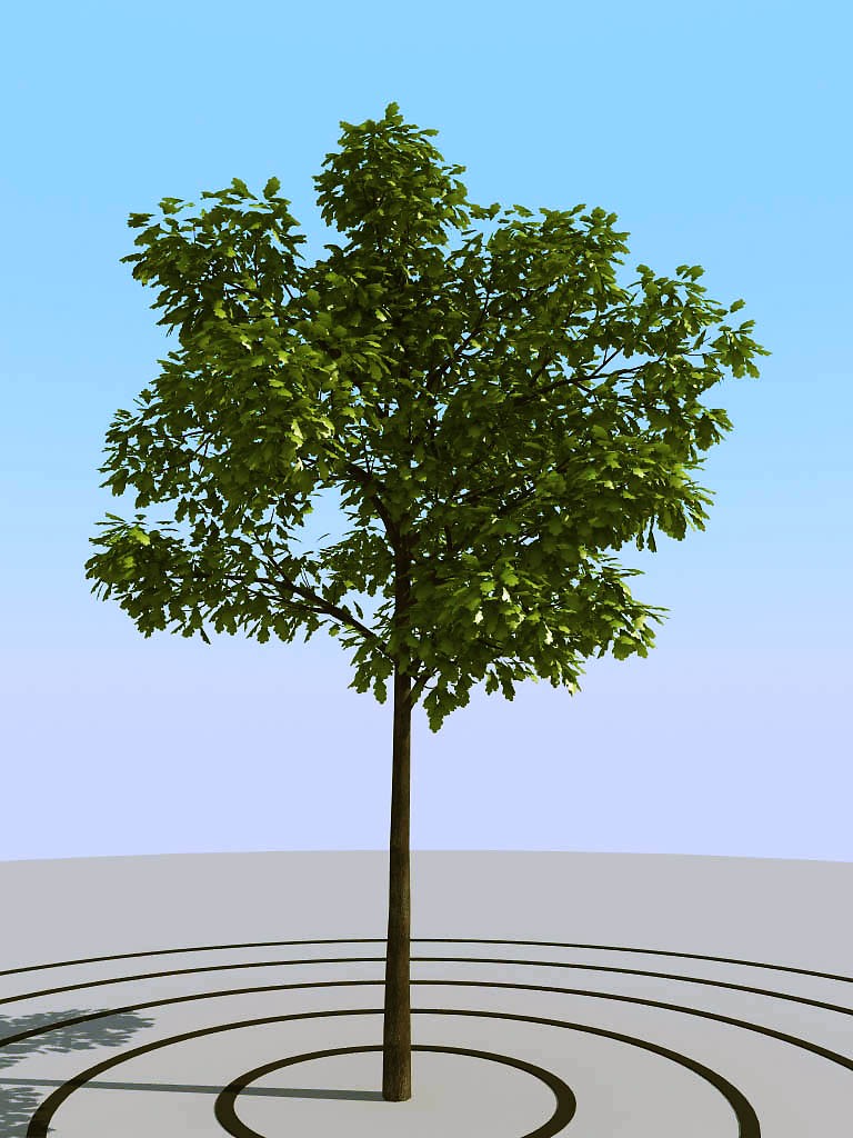 051景观树 3d模型下载(3)(1)