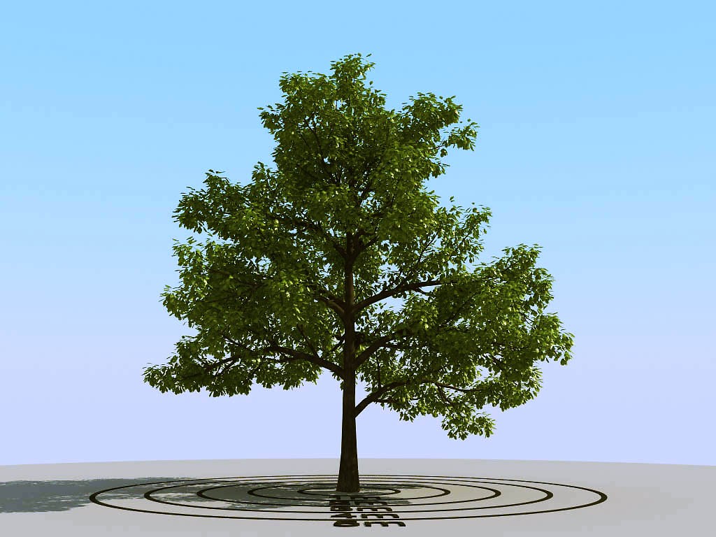 051景观树3d模型下载1)(1)