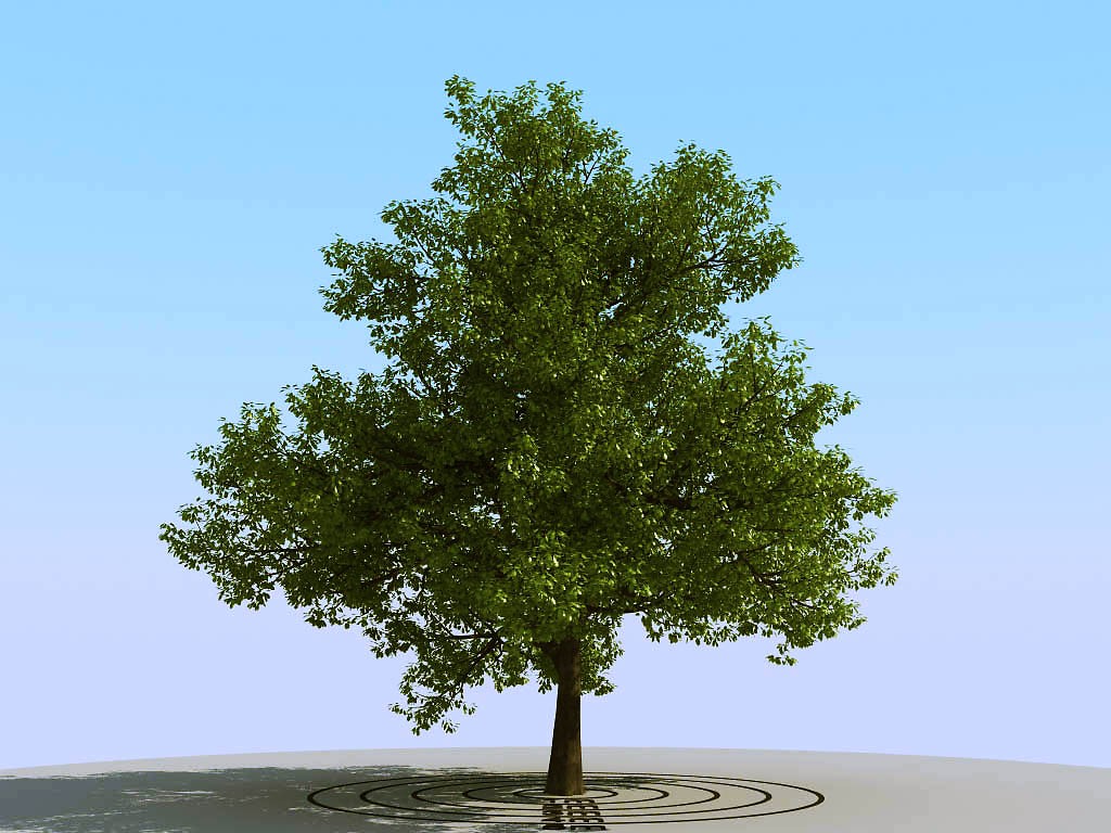 048景观树3d模型下载(1)