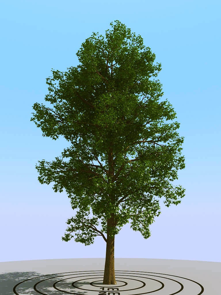047景观树3d模型下载 (1)(1)