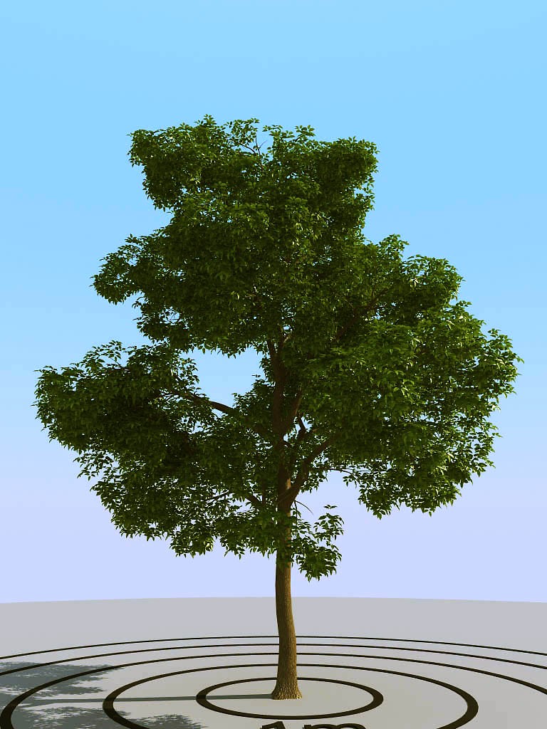 038景观树矮树3d模型下载 (2)(1)