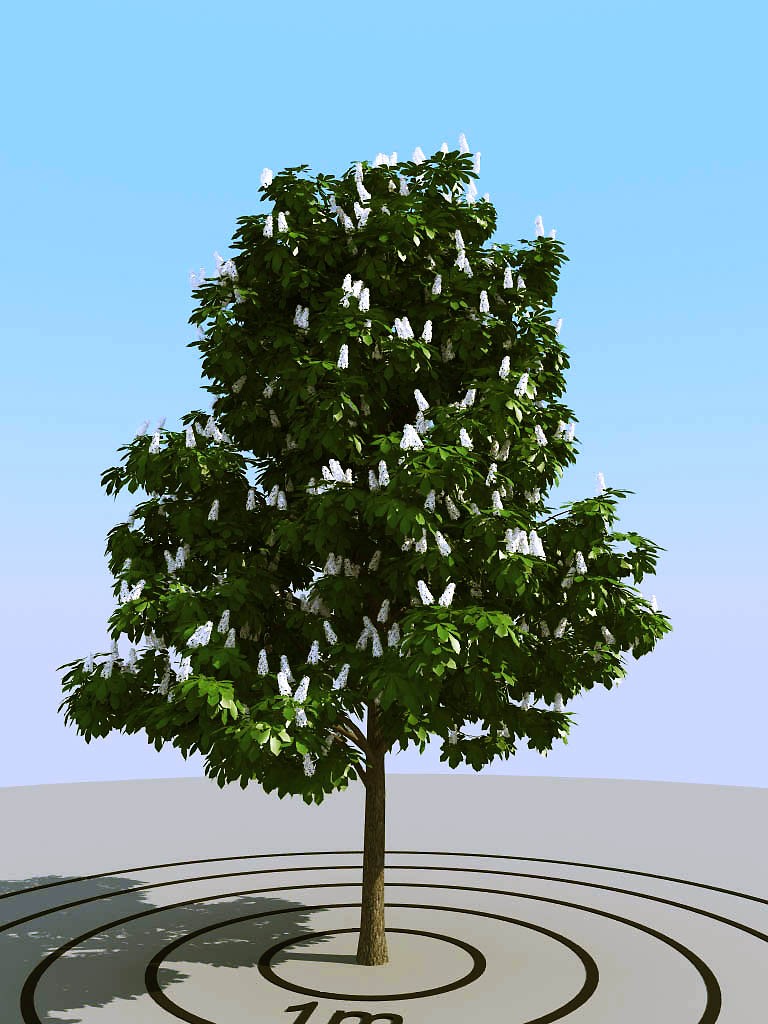 058景观树3d模型下载(1)