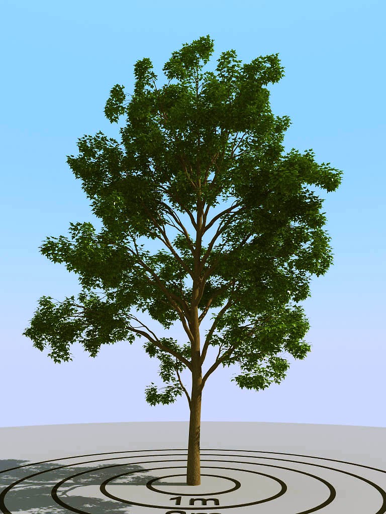 044景观树矮树3d模型下载(1)