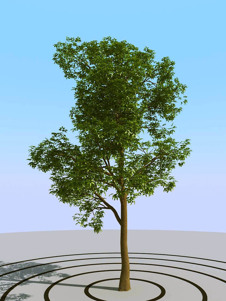 033景观树矮树3d模型下载