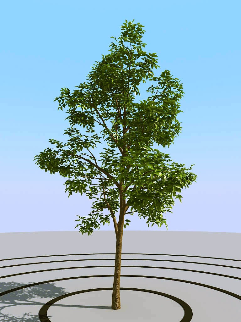 032景观树矮树3d模型下载