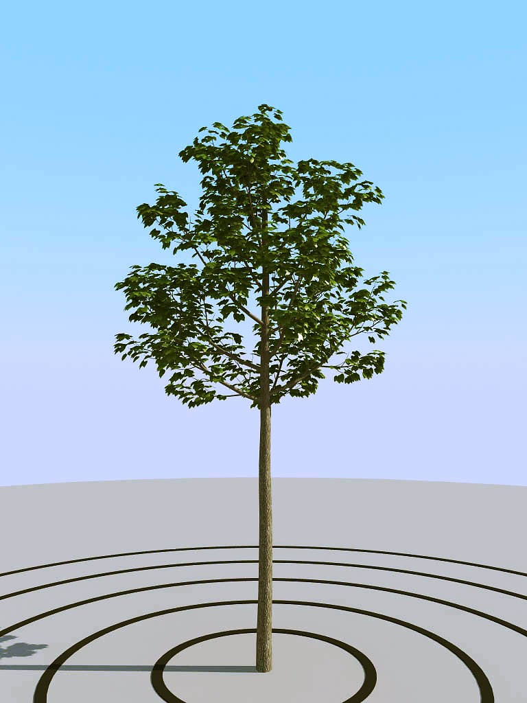 031景观树矮树3d模型下载(1)