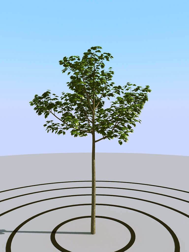 030景观树矮树3d模型下载(1)