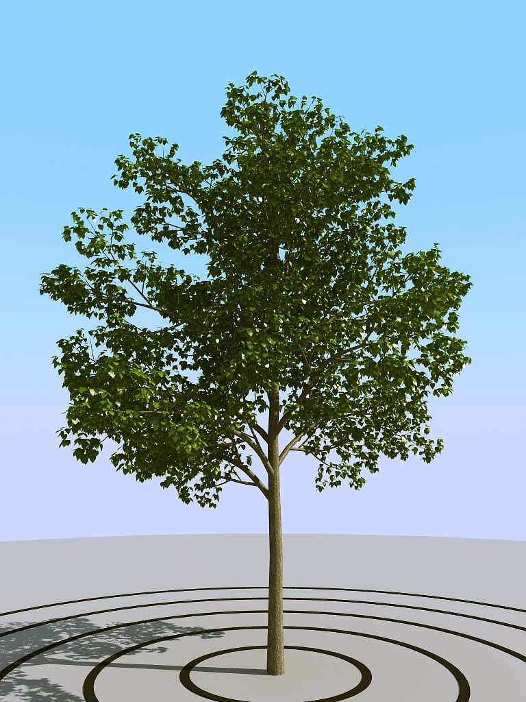 029景观树矮树3d模型下载(1)