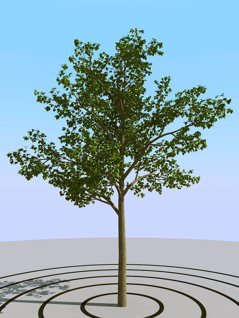 027景观树矮树3d模型下载(1)