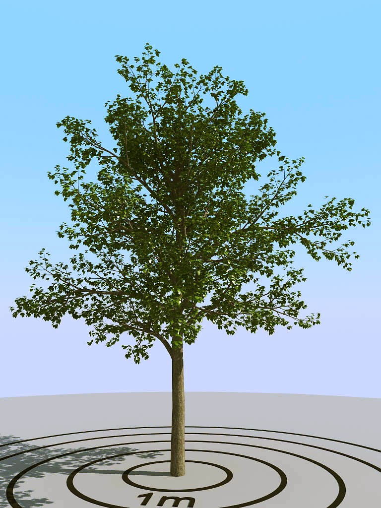 026景观树矮树3d模型下载(1)