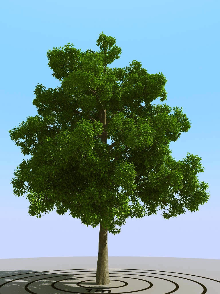 019景观植物树3d模型下载(1)