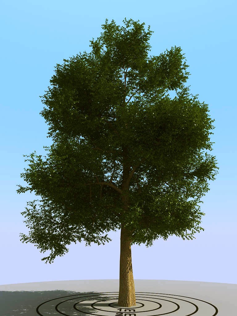 012景观植物树3d模型下载(1)