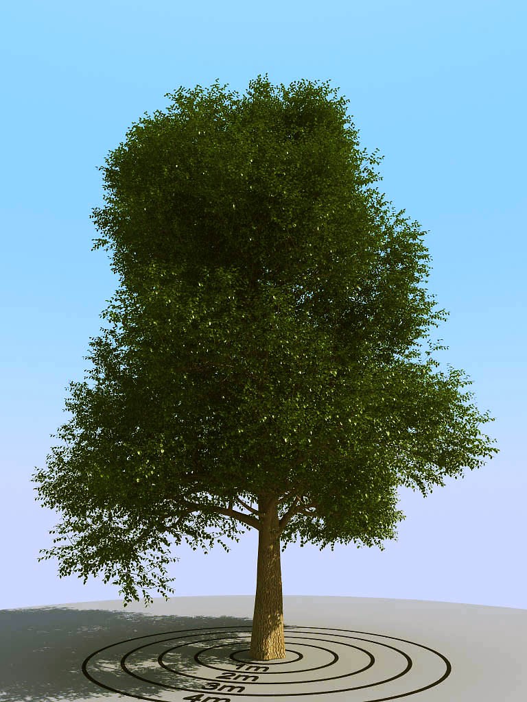 011景观植物树3d模型下载(1)
