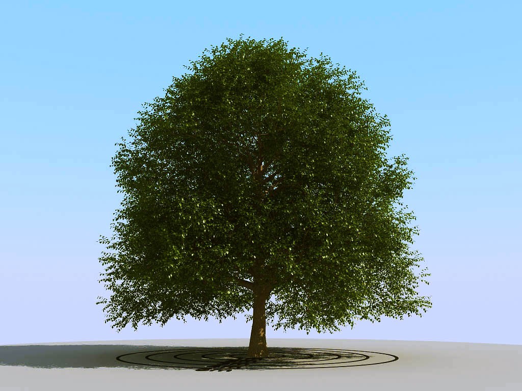 009景观植物树3d模型下载 (1)(1)