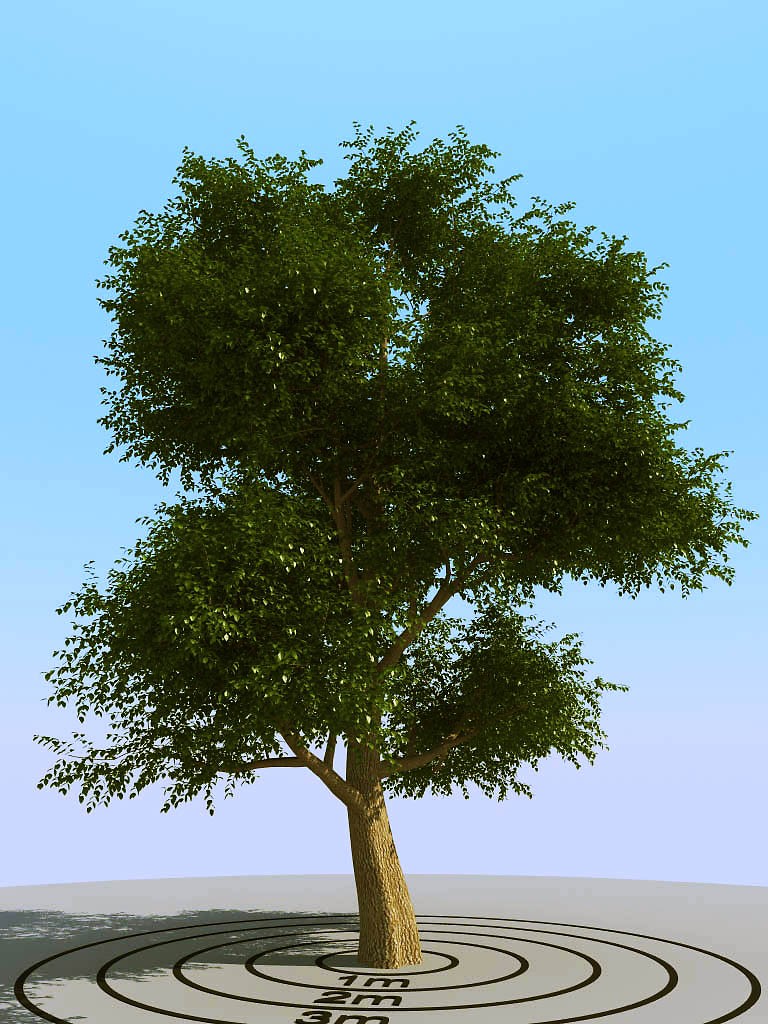 013景观植物树3d模型下载(1)