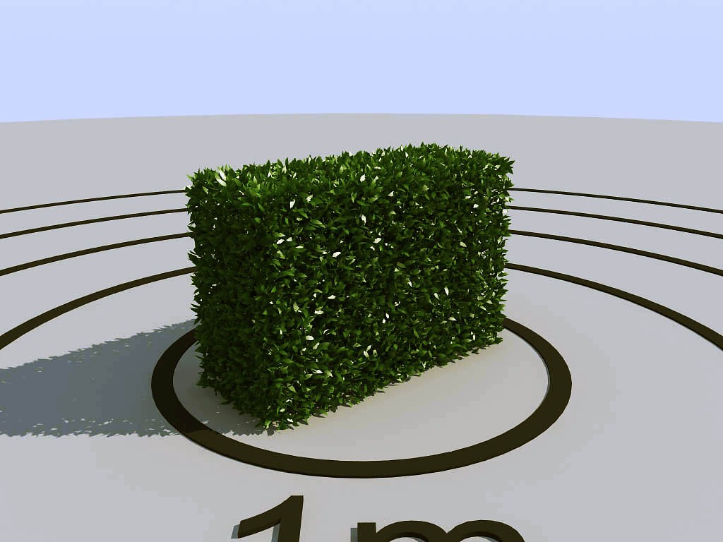 038景观植物绿植墙植物墙树墙黄杨灌木3d模型下载