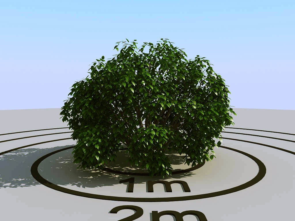034灌木植物球绿植3d模型下载(1)