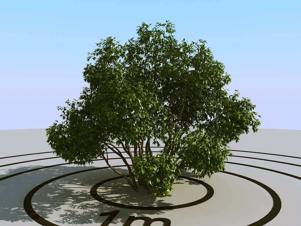 033灌木植物球绿植3d模型下载