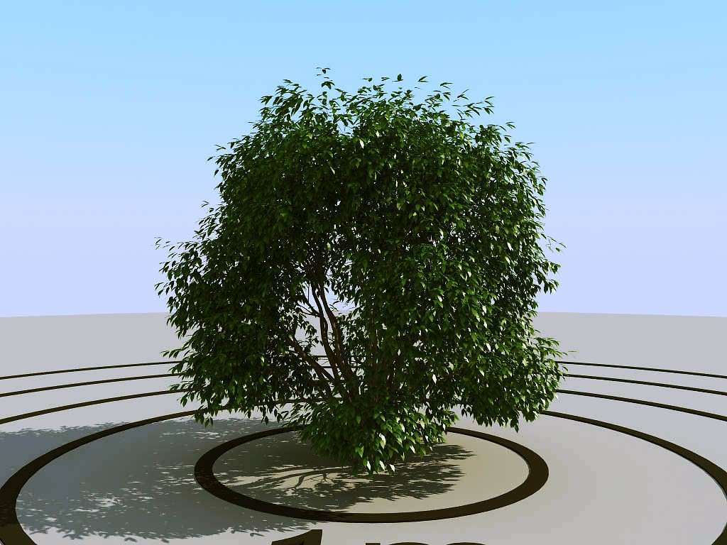 031灌木植物球绿植3d模型下载(1)