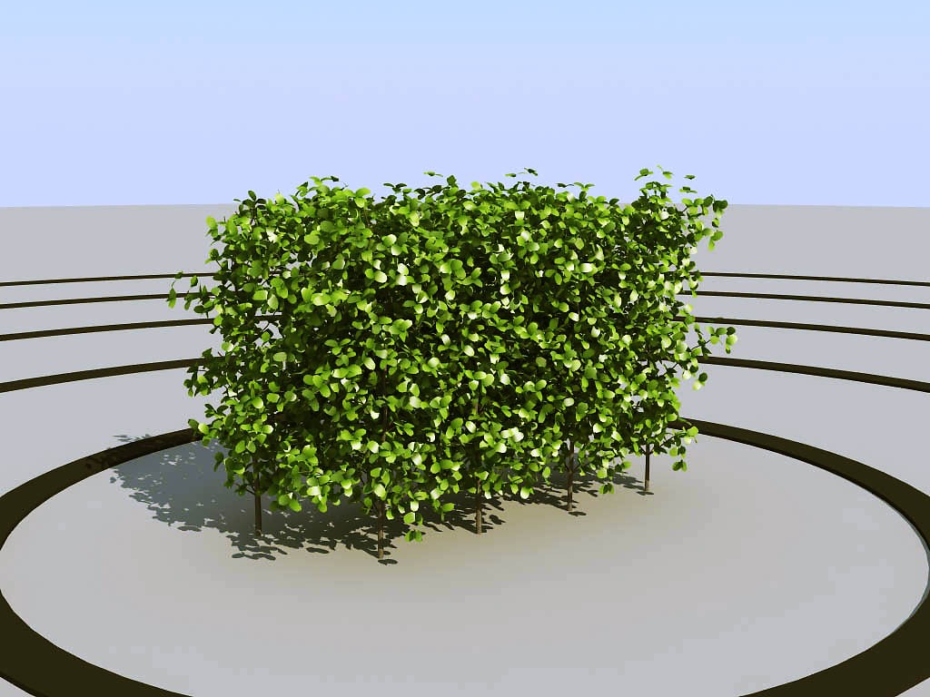 027景观植物绿植墙植物墙树墙黄杨3d模型下载(1)