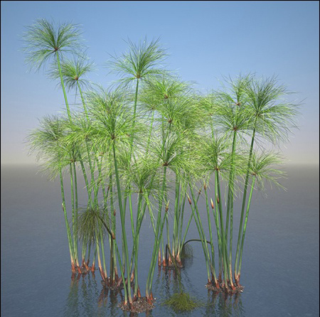 植物水草3D模型下载